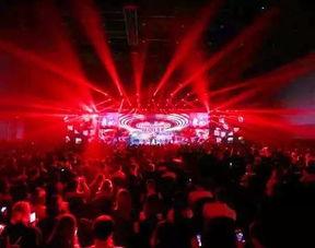 秒拍520网红节,狂欢盛宴，网红齐聚，共庆爱意满满的时刻