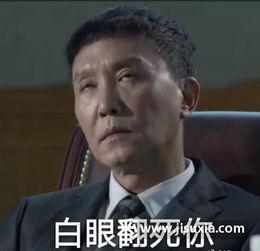 康达书记表情包,网络时代的政治幽默新风尚