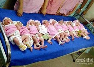 11胞胎大肚婆照片,震撼全球的生育奇迹