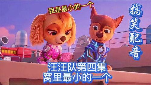 汪汪队配音演员,揭秘配音演员们的幕后故事