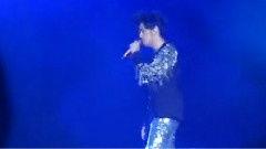 珊瑚海mv背景,梦幻海底世界，探寻海洋奇观